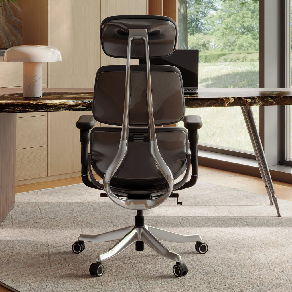 Forma, Ergonomic Executive Office Chair