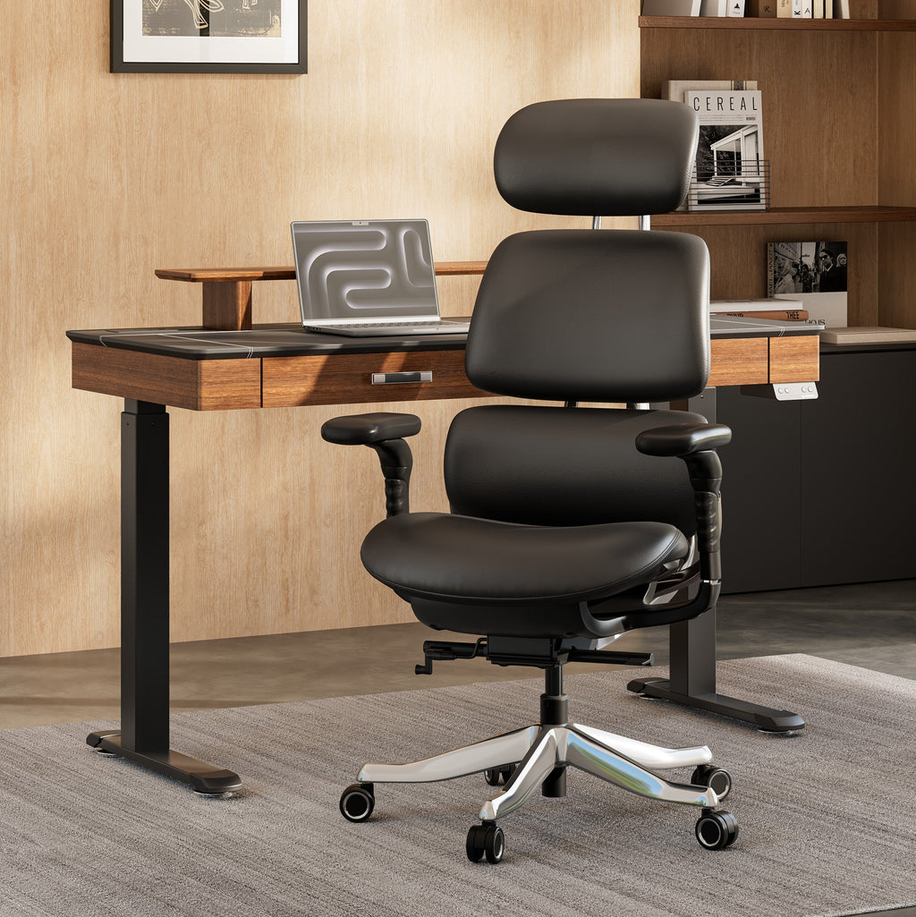 Forma, Ergonomic Executive Office Chair