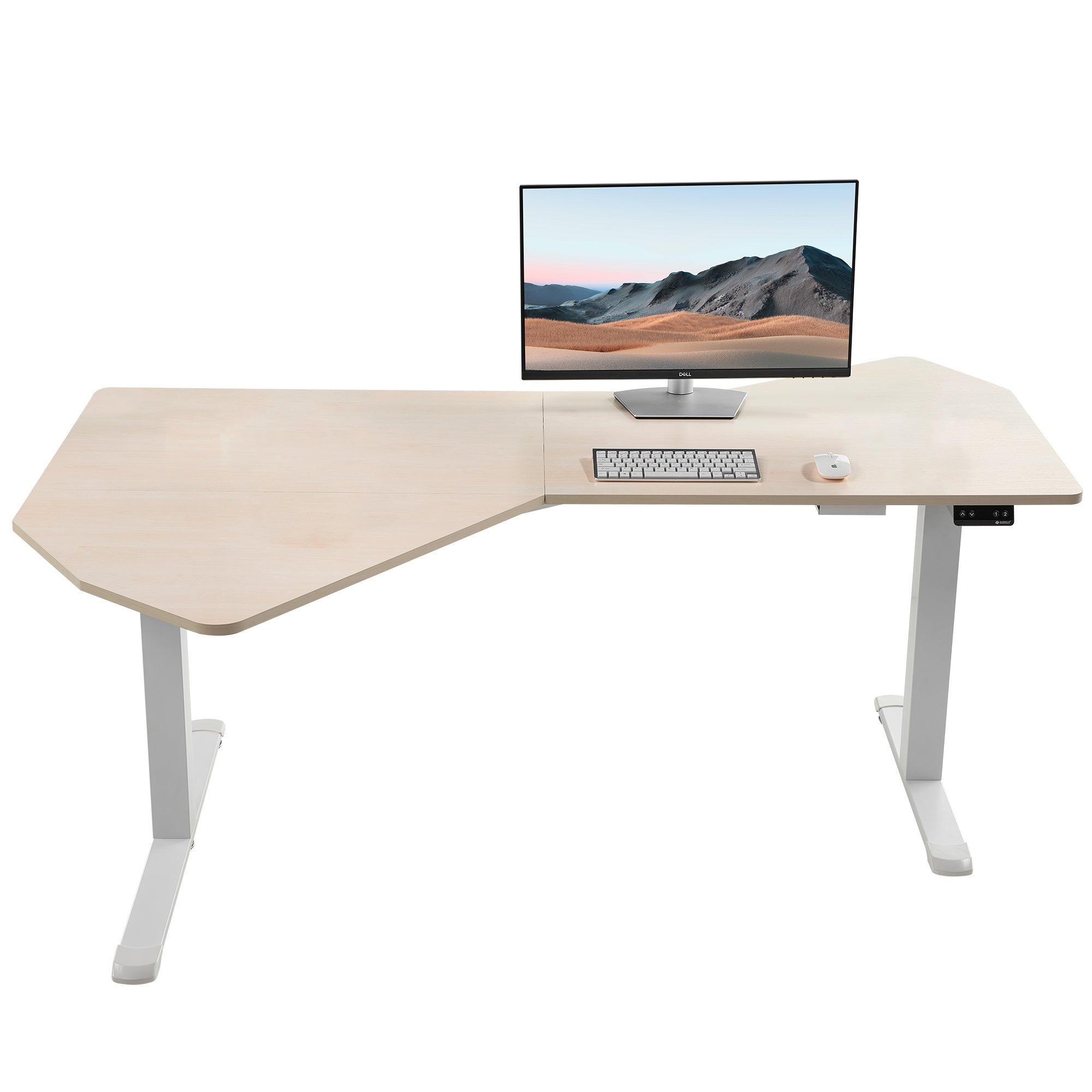 Blossom Dynamics Office Standing Desk (70"x46")