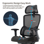 Lark, Adjustable Lumbar Ergonomic Office Chair