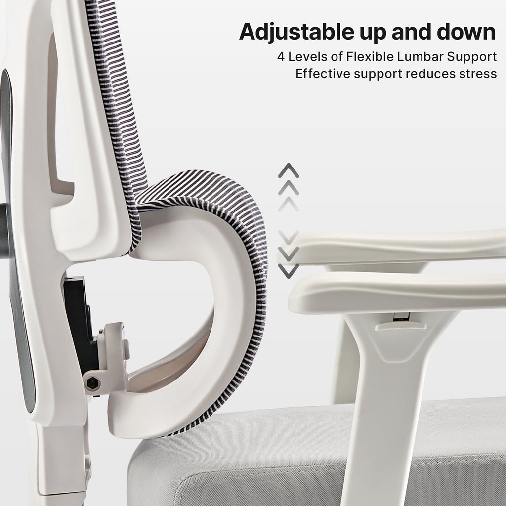 Exis,ergonomic Office Chair