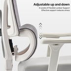 Exis,ergonomic Office Chair