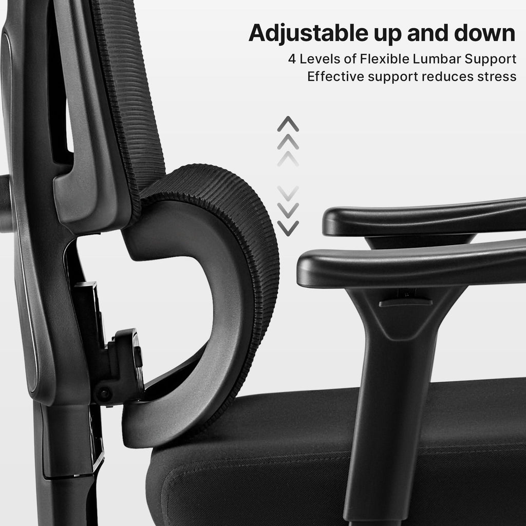 Exis,ergonomic Office Chair
