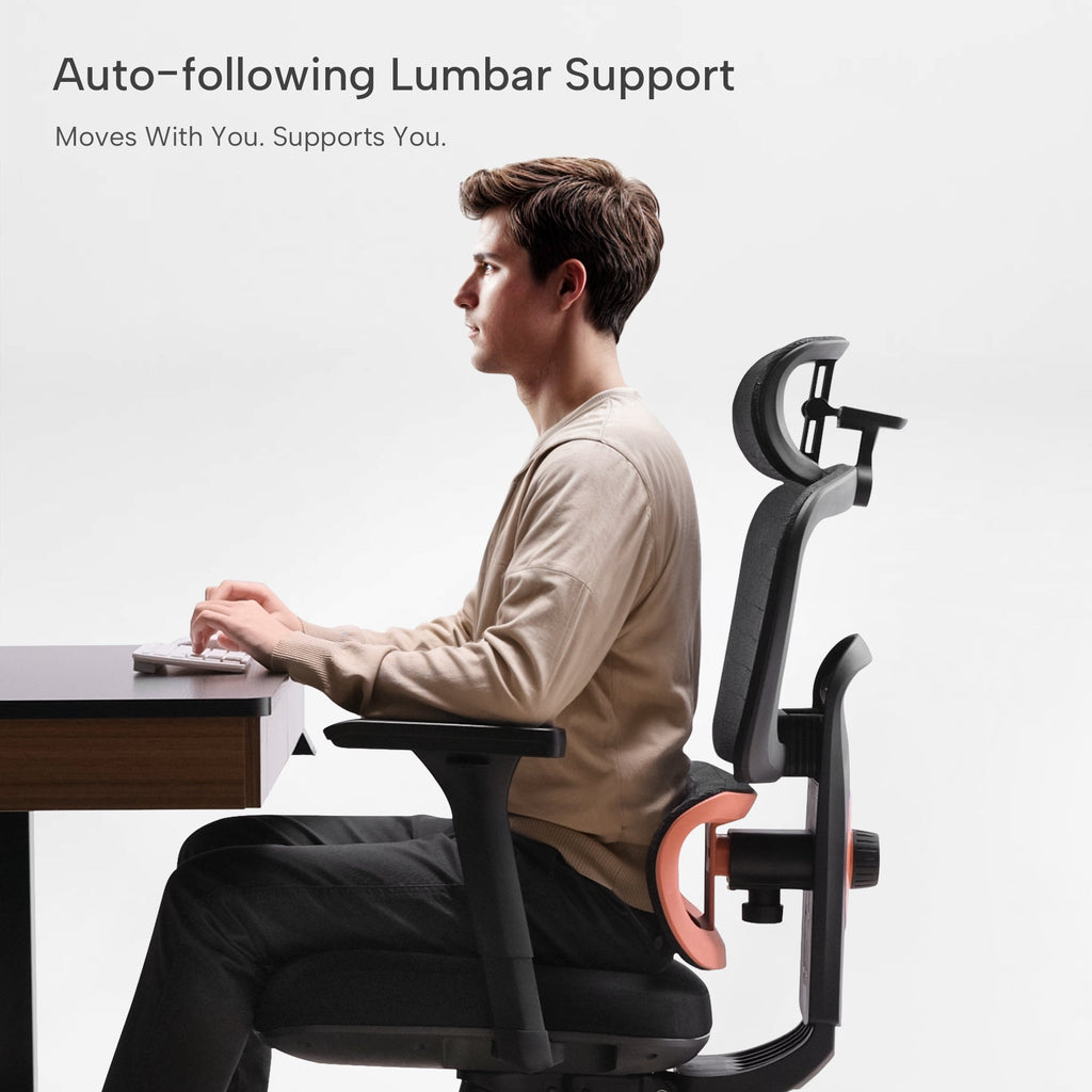 Cyra, Ergonomic Office Chair