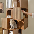 Pawlio, 72" Owner and Pet Shared Bookshelf Cat Tree