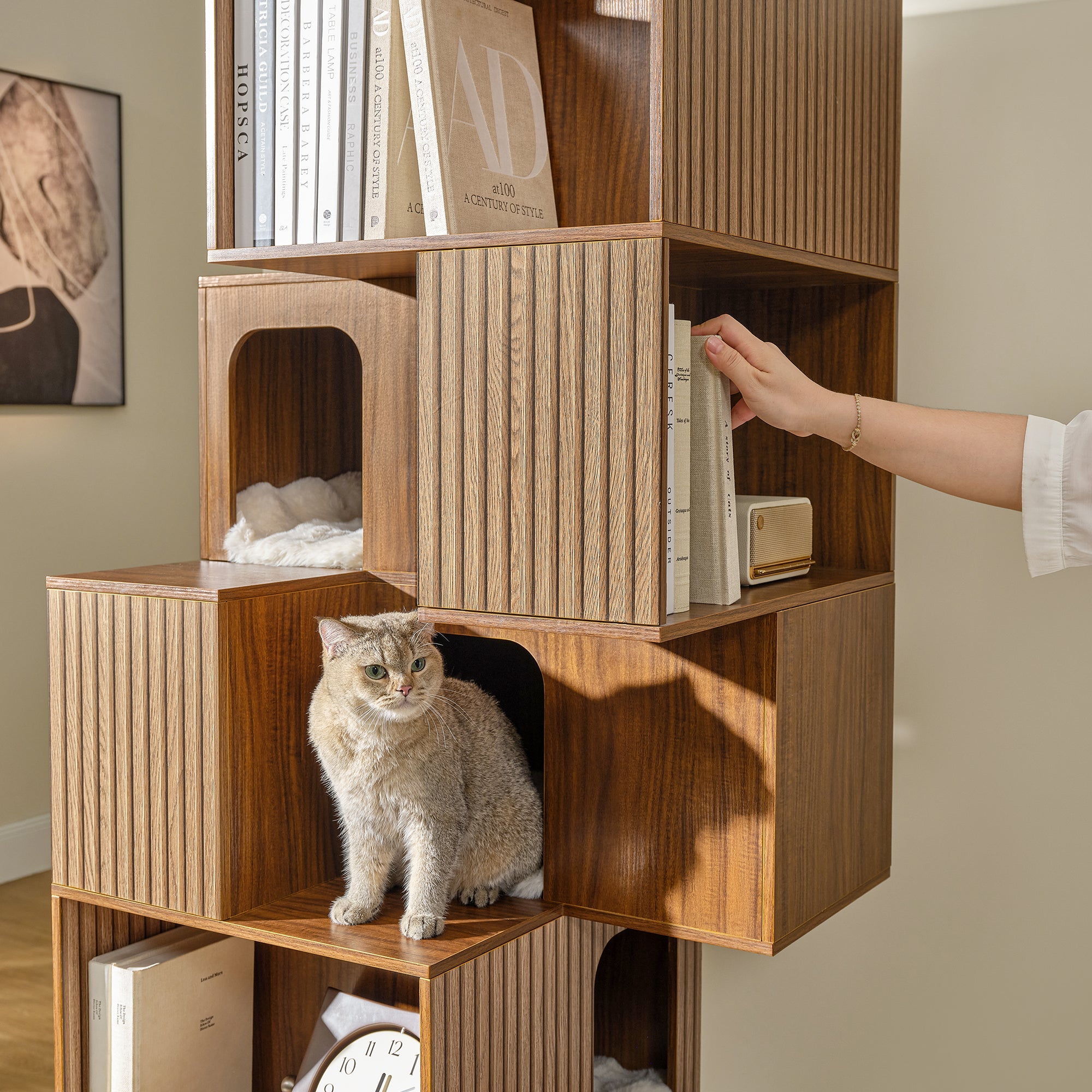 Pawlio, 72" Owner and Pet Shared Bookshelf Cat Tree