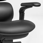 Forma, Ergonomic Executive Office Chair