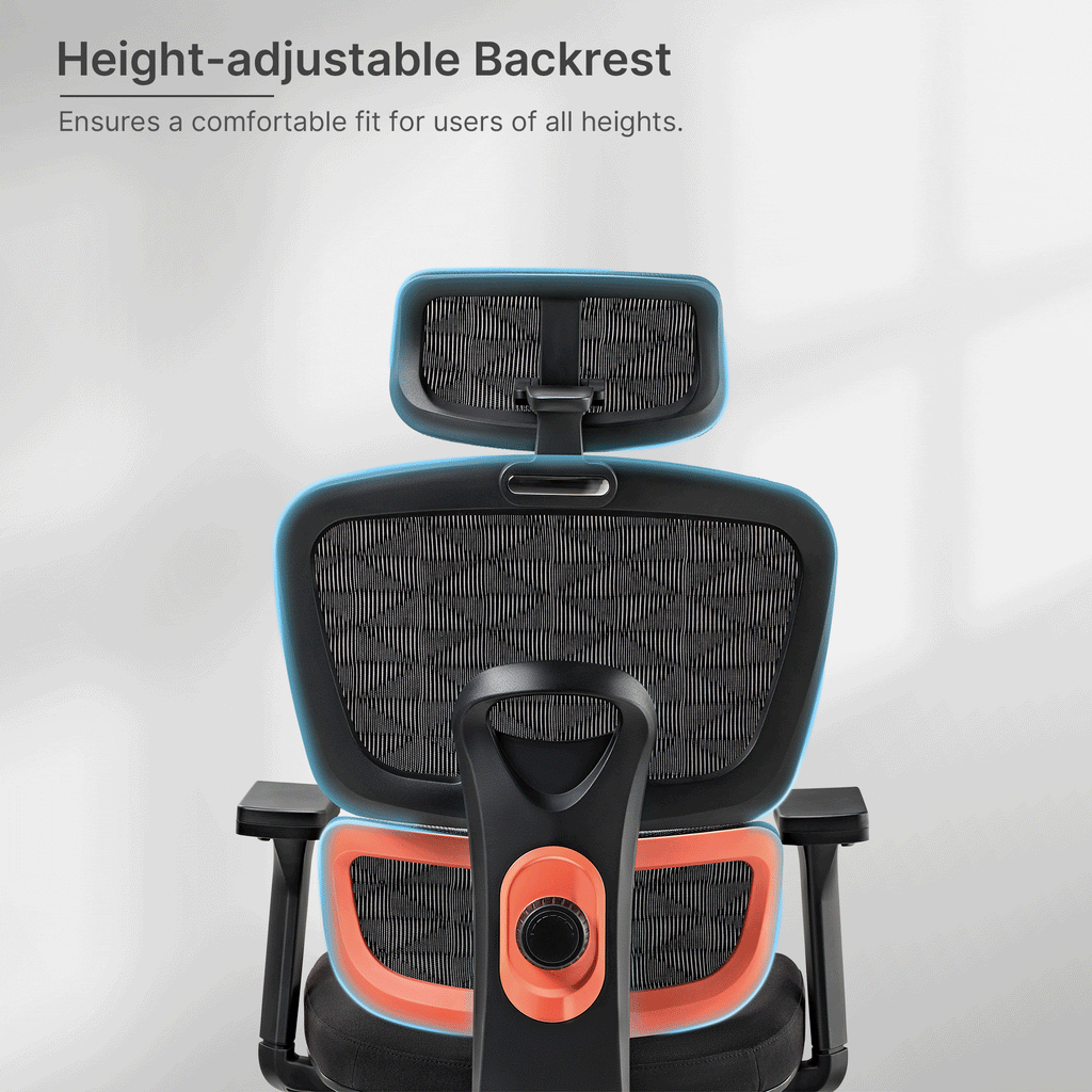 Cyra, Ergonomic Office Chair