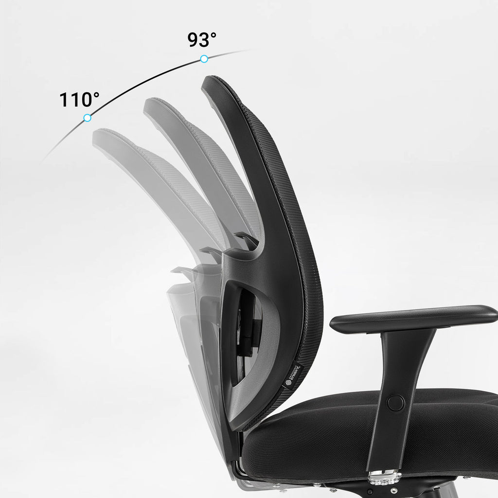 Hoss, Big and Tall Ergonomic Office Chair