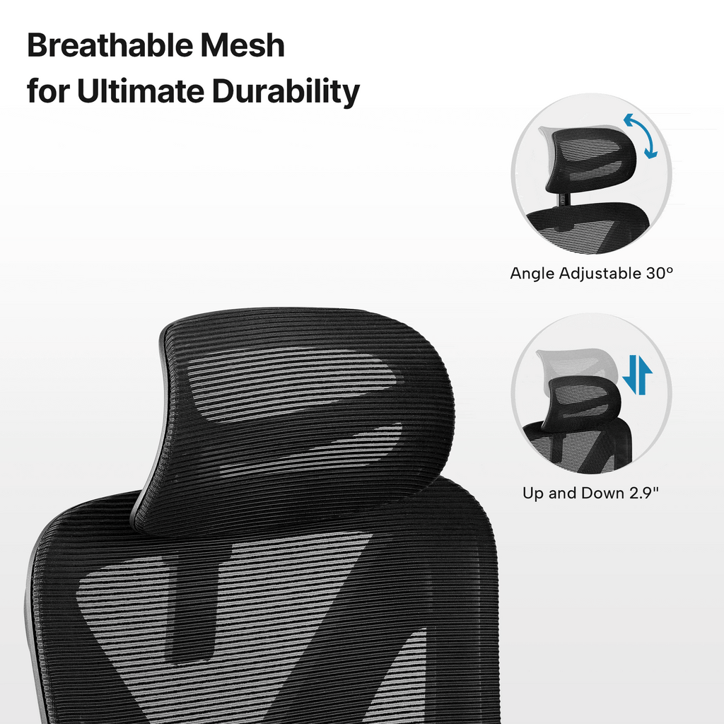 Exis,ergonomic Office Chair