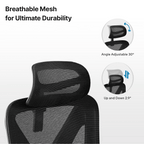 Exis,ergonomic Office Chair