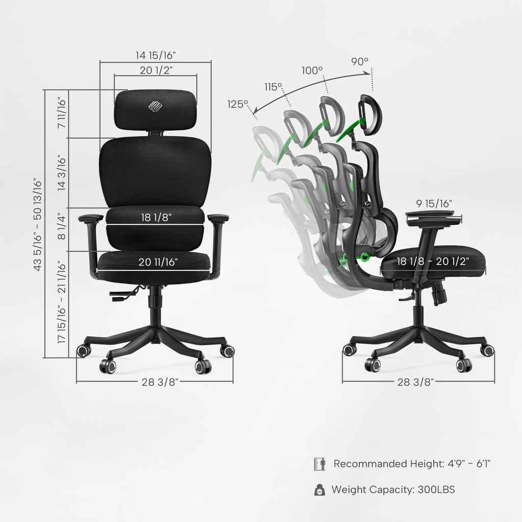 Axion, Ergonomic Hybrid Chair