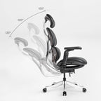 Forma, Ergonomic Executive Office Chair