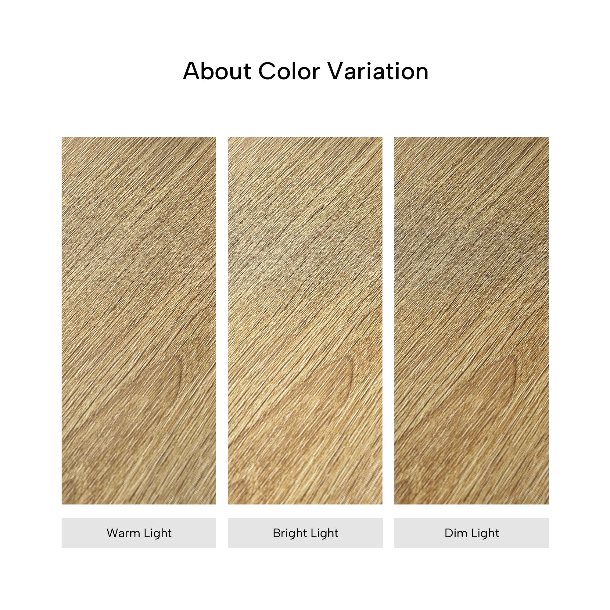 Ark Lite Standing Desk (63"x27")