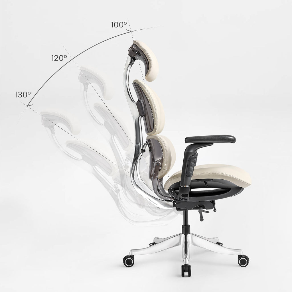 Forma, Ergonomic Executive Office Chair