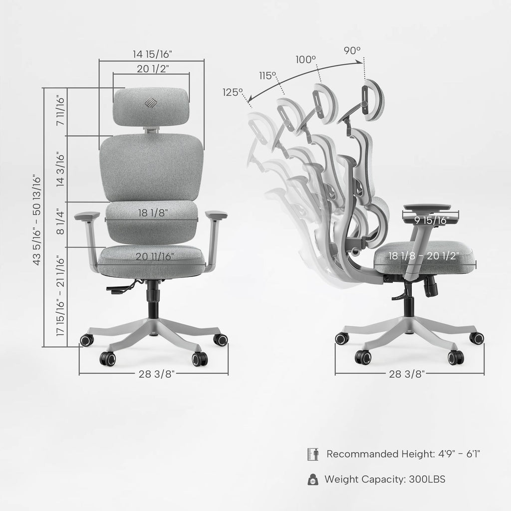 Axion, Ergonomic Hybrid Chair