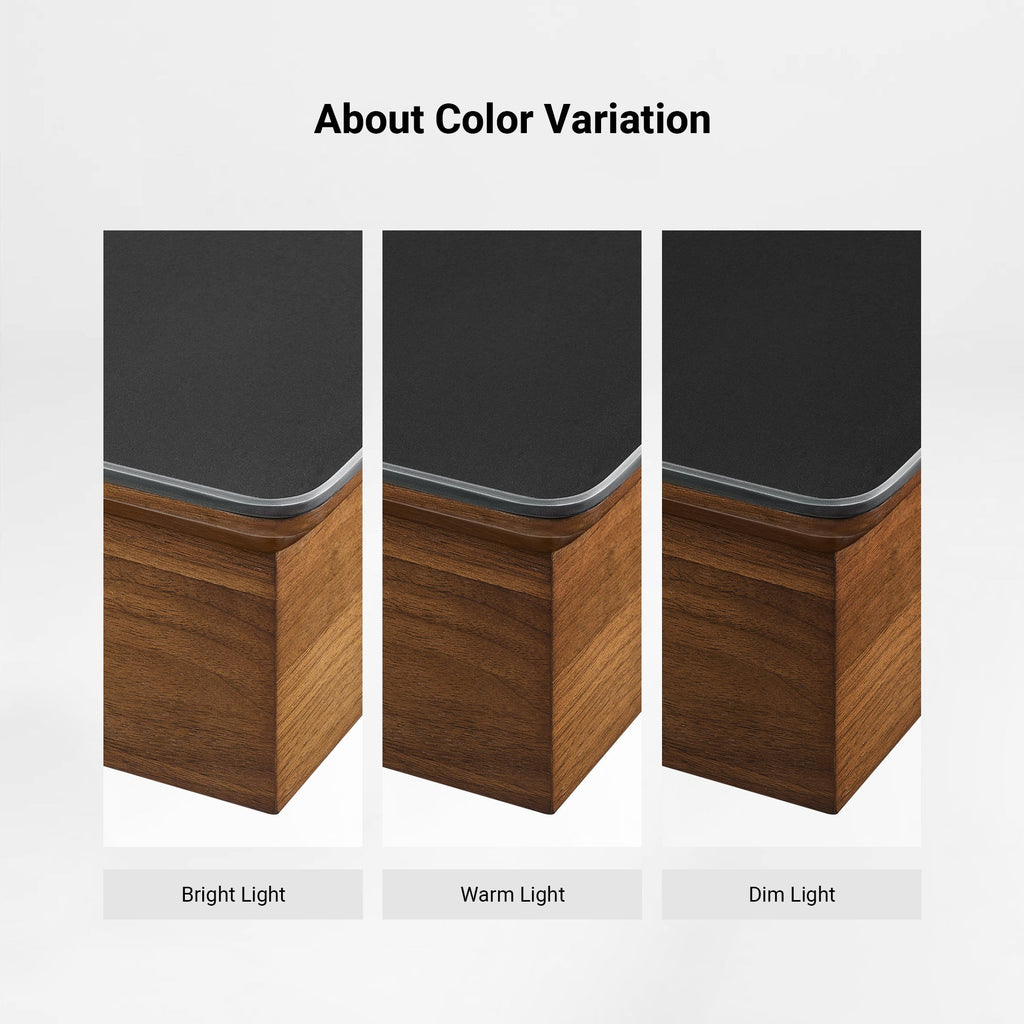 Ark Executive Standing Desk (63"x29")