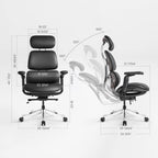 Forma, Ergonomic Executive Office Chair