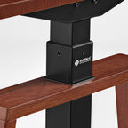 Ark Lite Standing Desk (63"x27")
