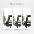 Forma, Ergonomic Executive Office Chair