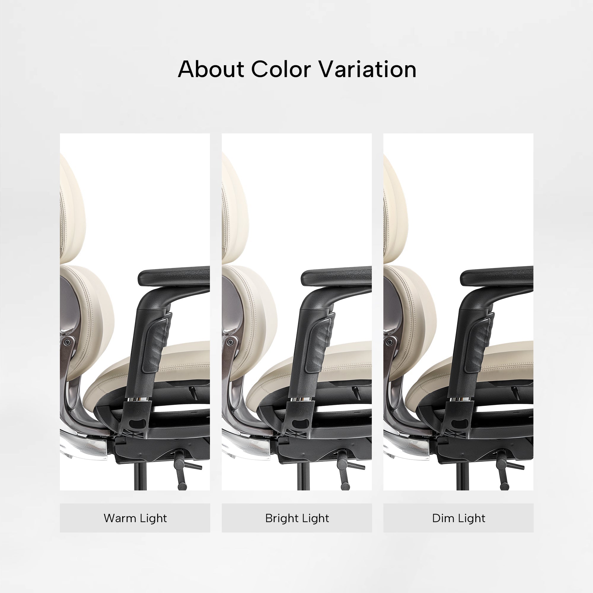 Forma, Ergonomic Executive Office Chair