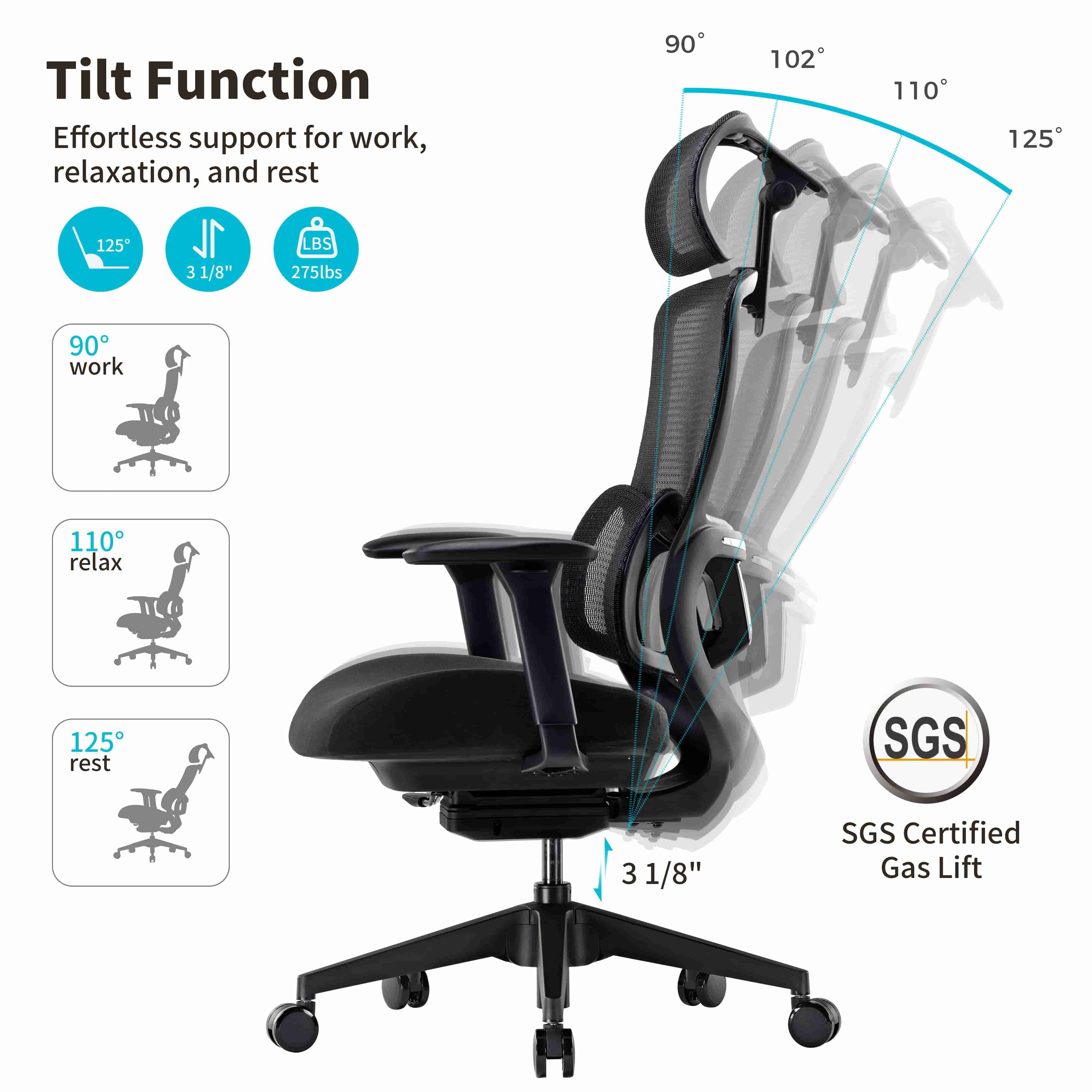 Lark, Adjustable Lumbar Ergonomic Office Chair