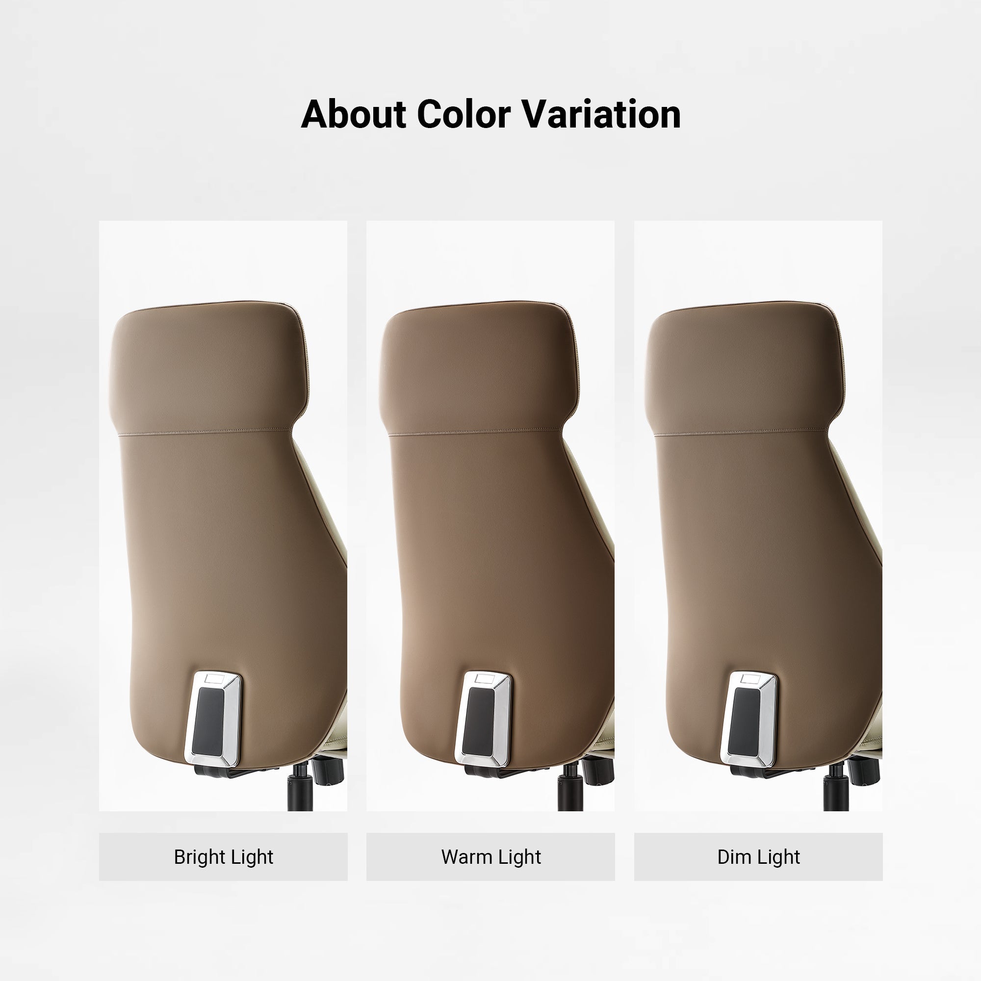 Aric, Faux Leather Executive Office Chair