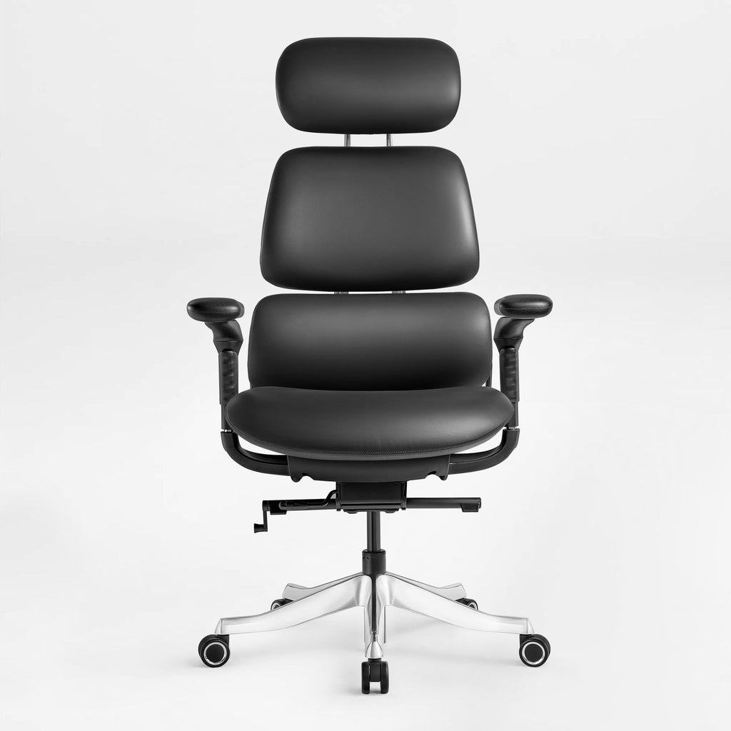 Forma, Ergonomic Executive Office Chair