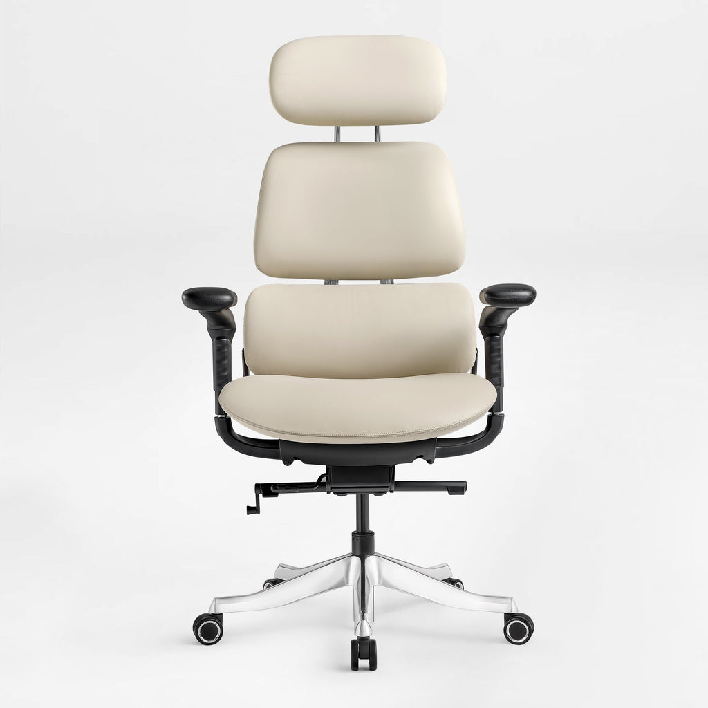 Forma, Ergonomic Executive Office Chair