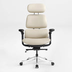 Forma, Ergonomic Executive Office Chair