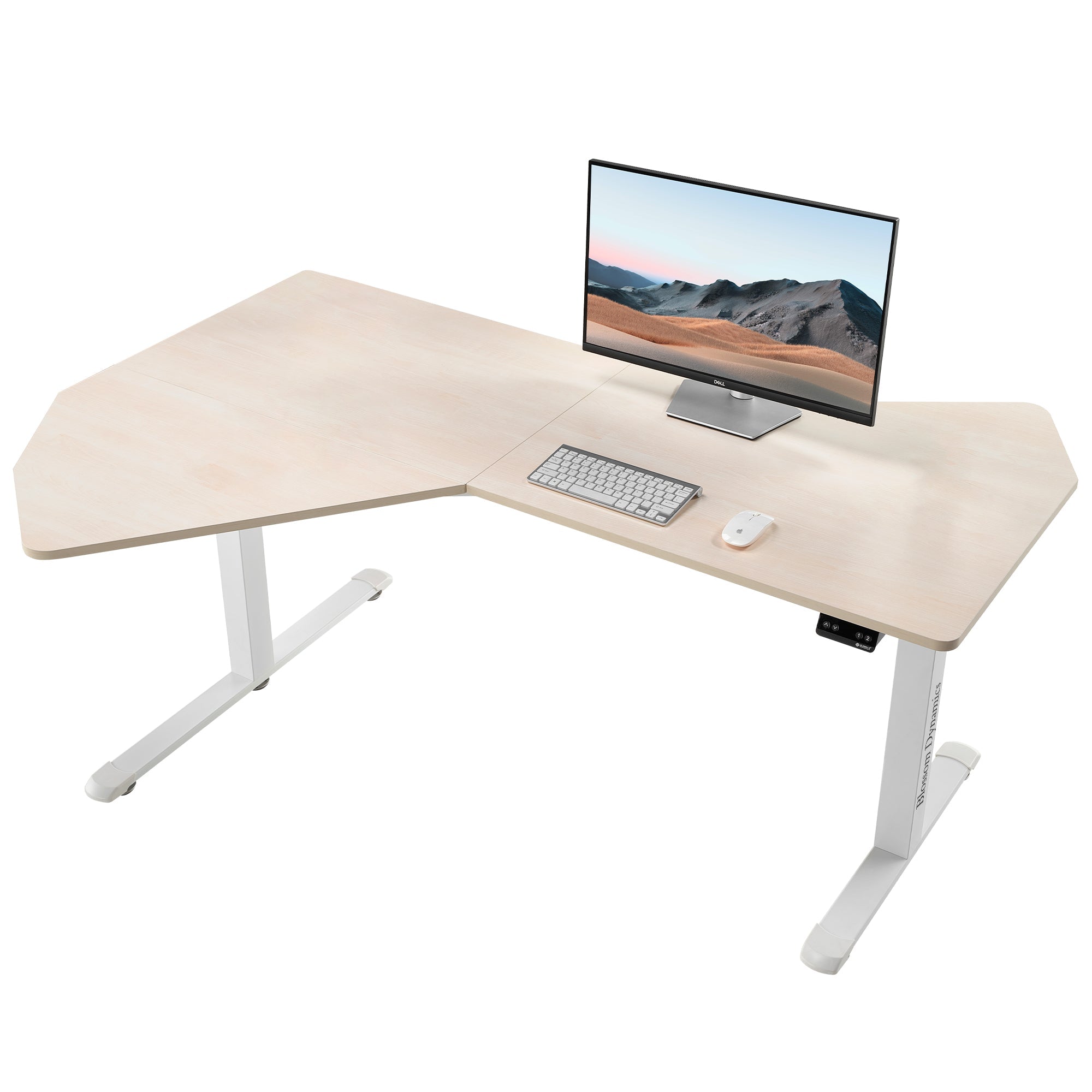 Blossom Dynamics Office Standing Desk (70"x46")