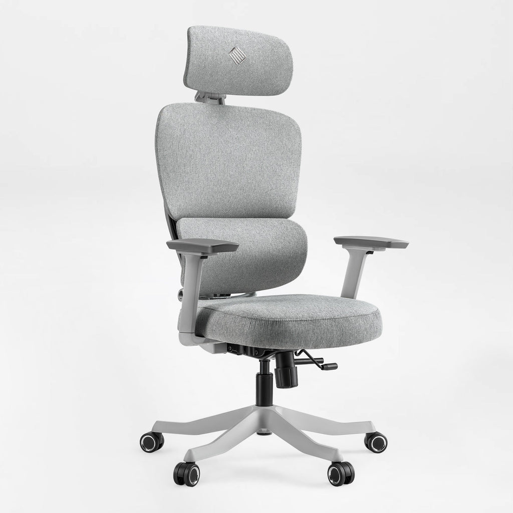 Axion, Ergonomic Hybrid Chair