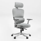 Axion, Ergonomic Hybrid Chair