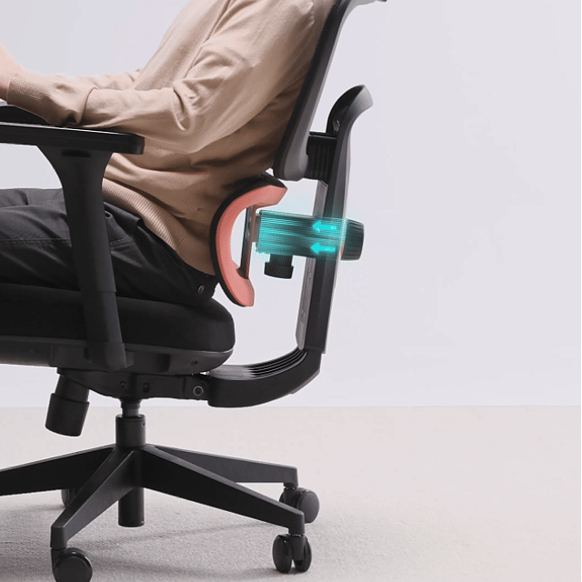 Cyra, Ergonomic Office Chair