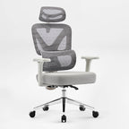 Exis,ergonomic Office Chair