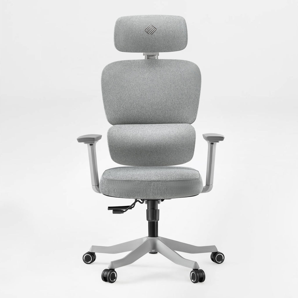 Axion, Ergonomic Hybrid Chair