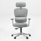 Axion, Ergonomic Hybrid Chair