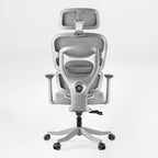 Axion, Ergonomic Hybrid Chair