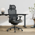 Lark, Adjustable Lumbar Ergonomic Office Chair