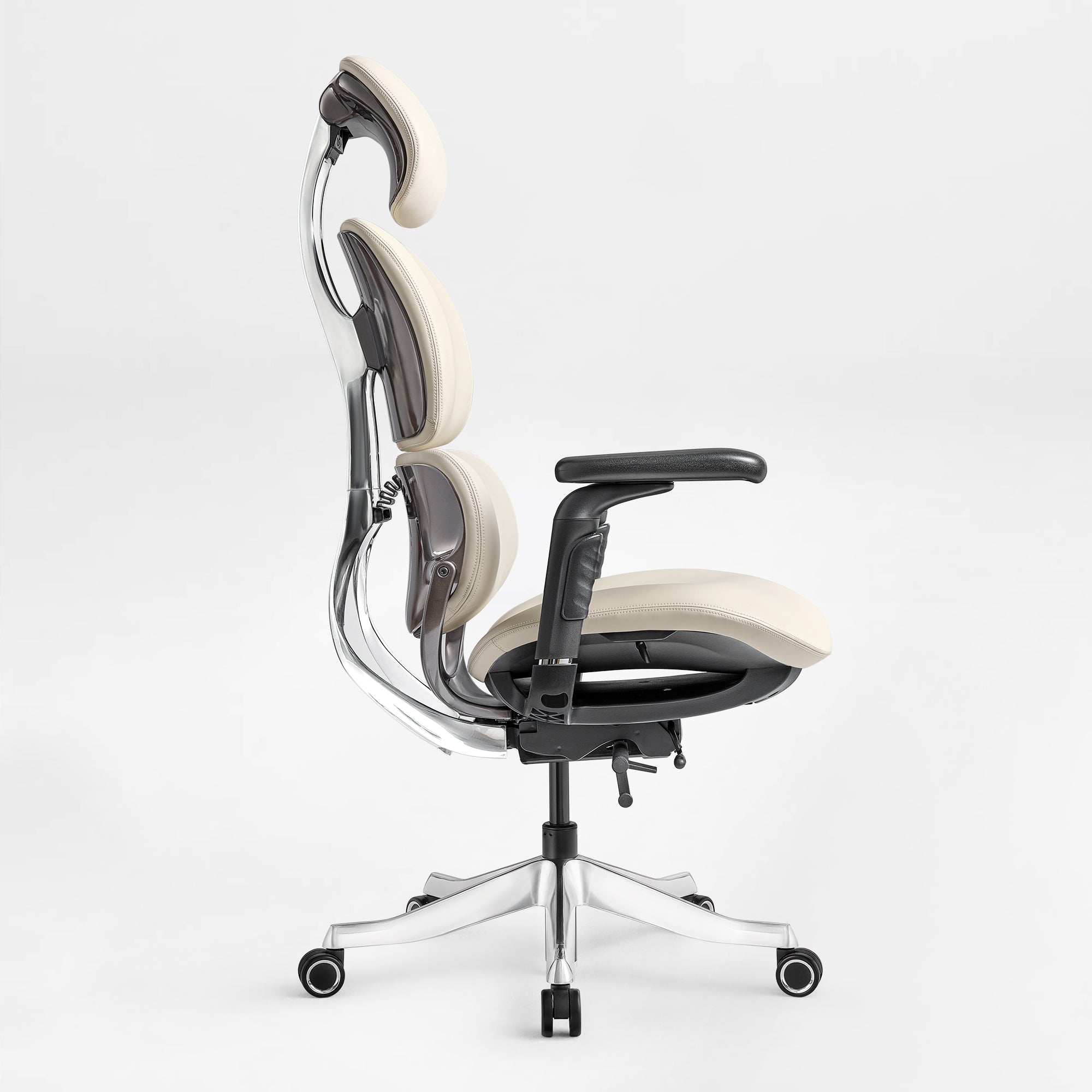 Forma, Ergonomic Executive Office Chair