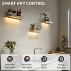 Floating Wall Shelf with Lighting, 1 Piece