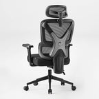 Exis,ergonomic Office Chair