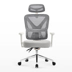 Exis,ergonomic Office Chair