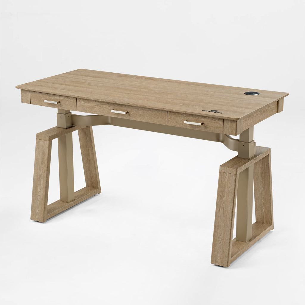 Executive Office Set:ark EL Standing Desk and Executive Office Chair