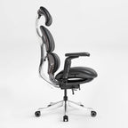 Forma, Ergonomic Executive Office Chair