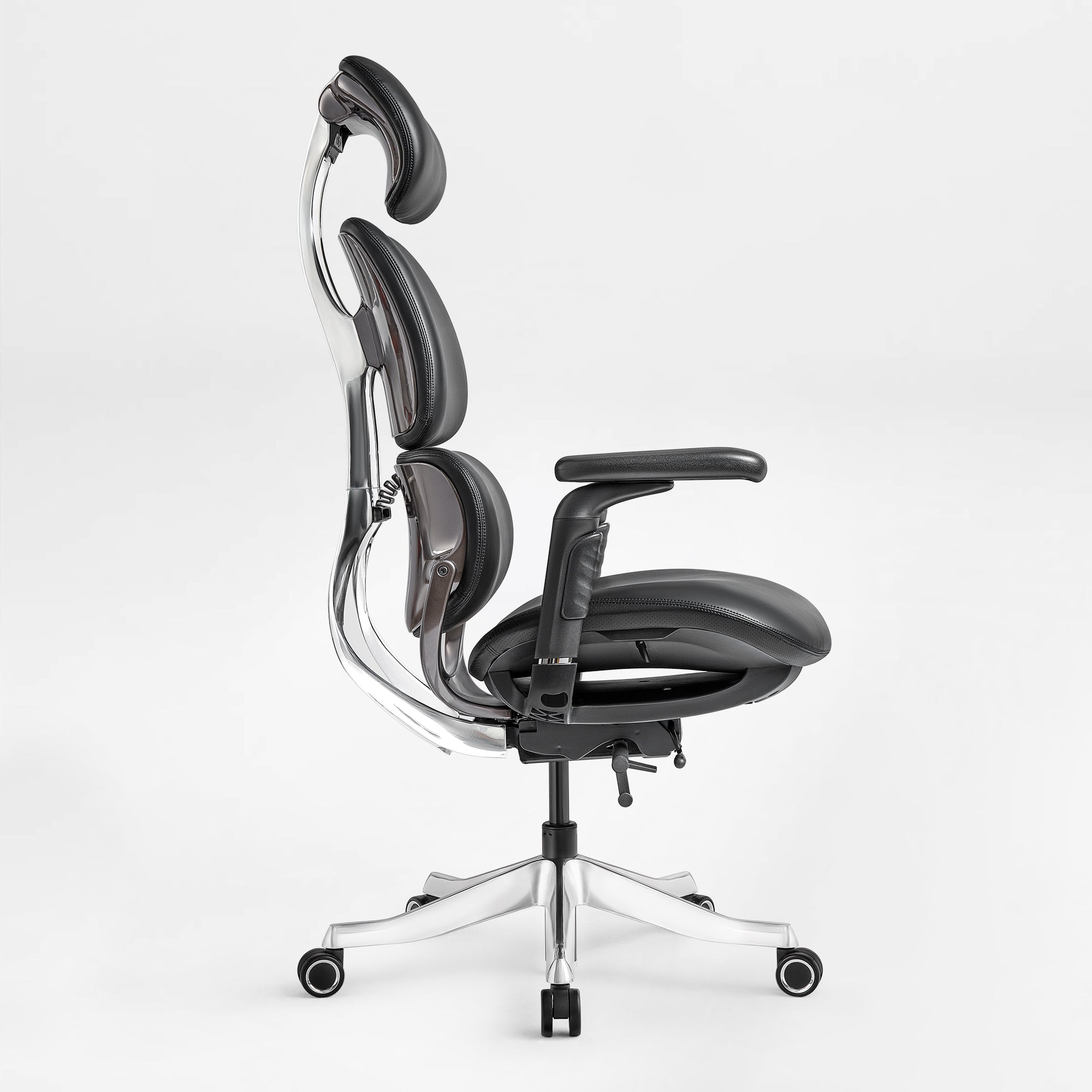 Forma, Ergonomic Executive Office Chair