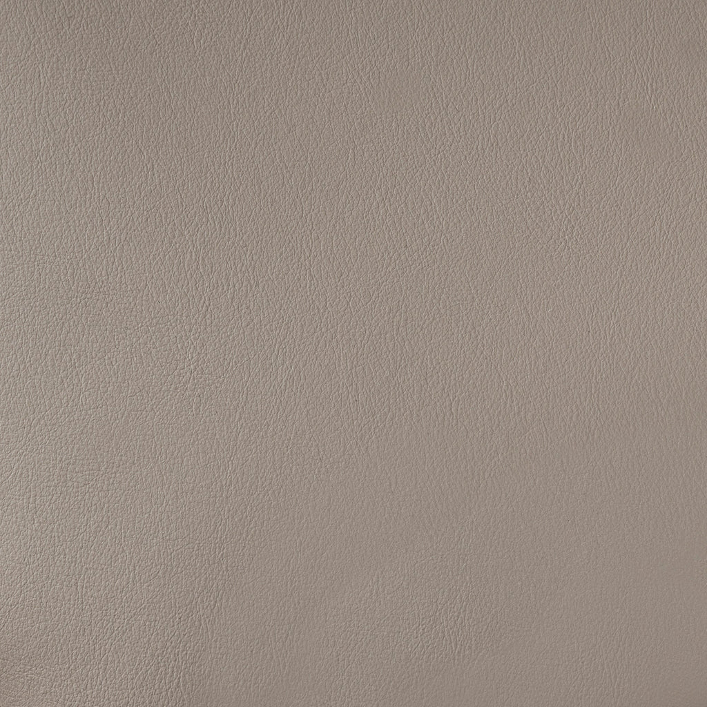 Jade, Upholstered Arm Dining Chair 1 PC, Dark Gray