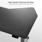 Blossom Dynamics Office Standing Desk (70"x46")