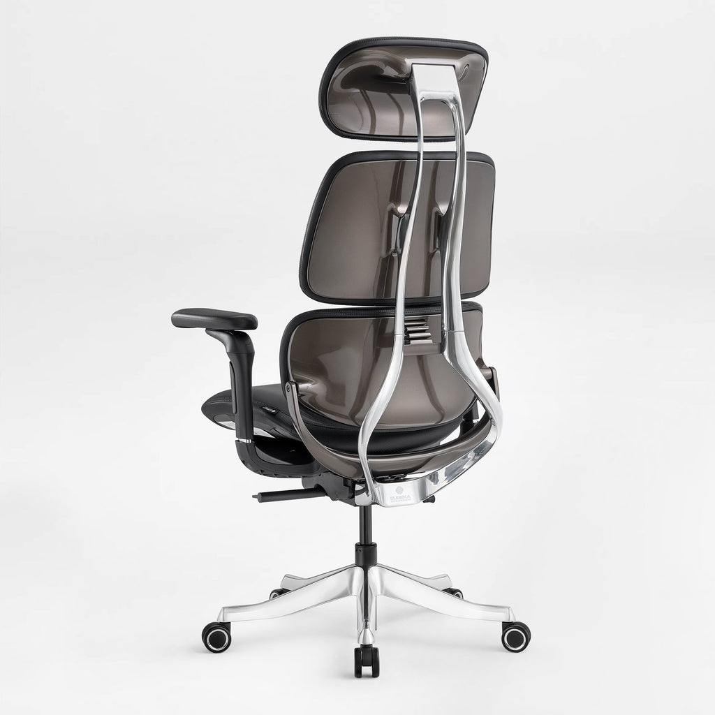Forma, Ergonomic Executive Office Chair