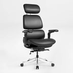 Forma, Ergonomic Executive Office Chair